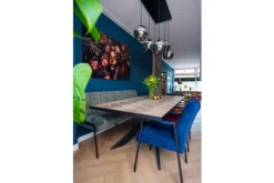 Outlet Eetfauteuil Harvey Eetkamerstoelen