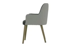 Hot Eetkamer fauteuil Louix Eetkamerstoelen