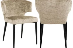 Clearance Eetkamerstoel 212564 FR Desert Fusion Taylor Eetkamerstoelen