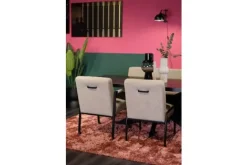 Best Eetkamerstoel Duuk Eetkamerstoelen