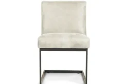 Hot Eetkamerstoel  Fun Eetkamerstoelen
