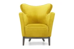 Online Fauteuil Party Oorfauteuils|Ronde Fauteuils